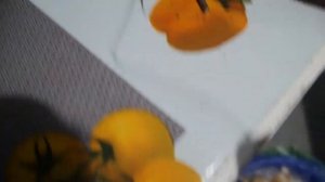 Ремонтируем трос кикдауна АКПП