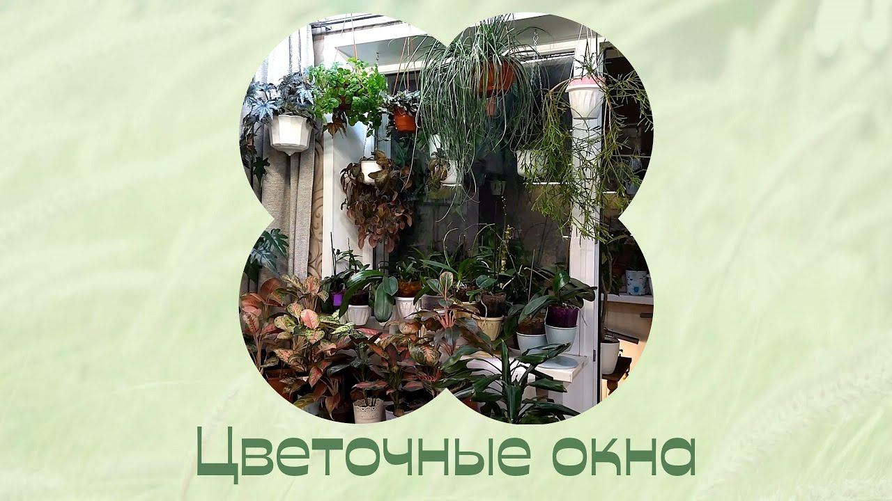 Вам не нравилось. Эписции. Будни цветовода. смотреть онлайн