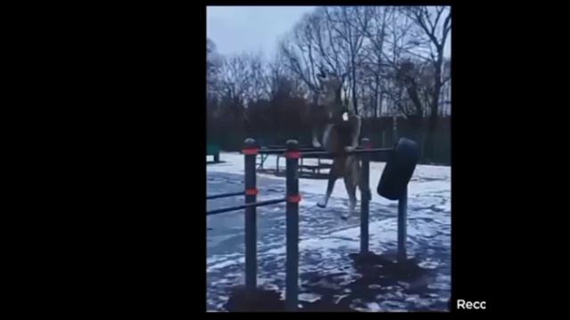 если ест духовка то должна быть призраковка (-прикол-) смотреть онлайн