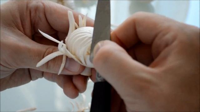 Champignon tourné - turned mushroom смотреть онлайн