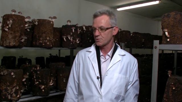 Tv Tera Bitola So Spirkovski za Sitake pecurkata 15 06 2016 смотреть онлайн