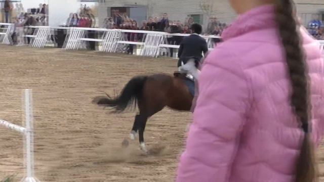 Открытый Кубок КСК "Centaur" [Запорожье, 25.09.16] смотреть онлайн