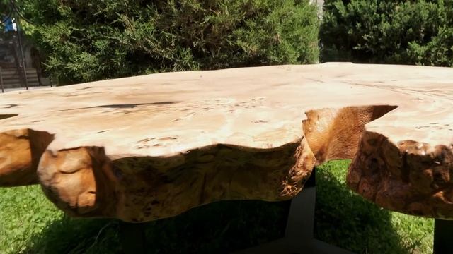 Кавказский горный тополь смотреть онлайн