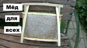 Сотовый мёд к Медовому Спасу.