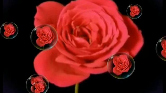 Тантра в Самаре. Tantra. Мeditation sensuality. смотреть онлайн