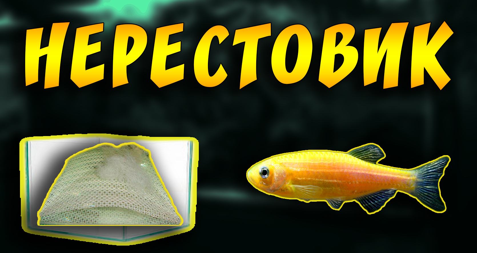 Как сделать нерестовик для аквариумных рыбок данио своими руками! смотреть онлайн