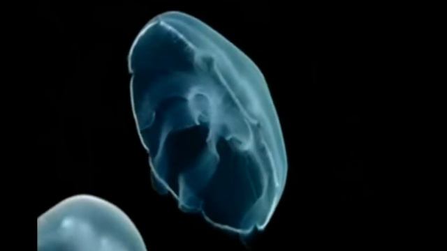 Что нас ждет в будущем Наше происхождение Часть первая смотреть онлайн