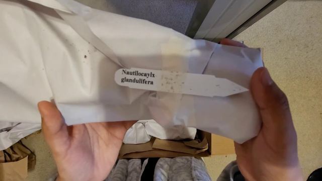 Steve's Leaves January 2021 Unboxing