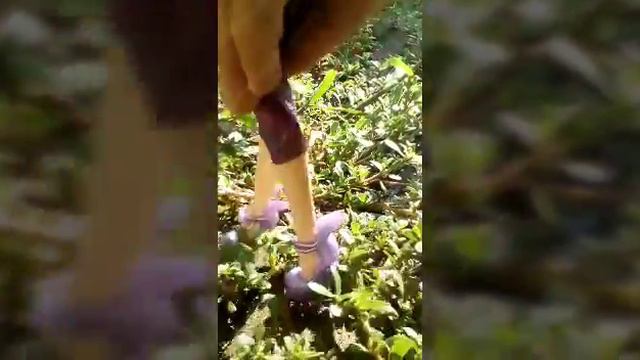 Извините за такое видео следующий раз обещаем будет лучше) смотреть онлайн