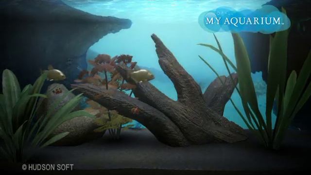 New PS3 Game: My Aquarium HD.(Yellow Piranha) смотреть онлайн