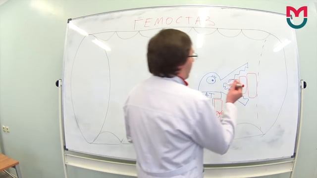 Гемостаз первая часть смотреть онлайн