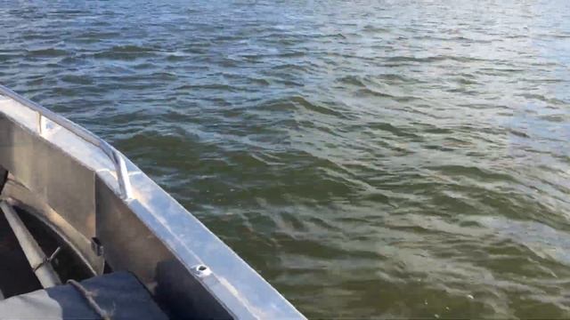 Лодка "Трайдент-450" с мотором "Suzuki DT-15" смотреть онлайн