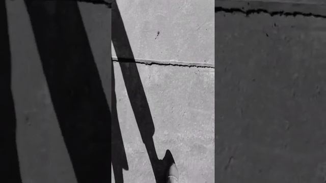 Стихотворение Камбара Ариакэ "Ночь души" смотреть онлайн