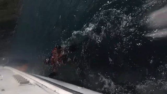 Дайвинг на Камчатке. Бухта Гротовая, остров Старичков. 28 июня 2020 смотреть онлайн