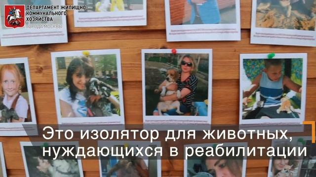 Кошкин дом в некрасовском приюте смотреть онлайн