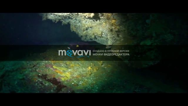 ПРИРОДА.Природа нашей планеты.Природа 4к смотреть онлайн