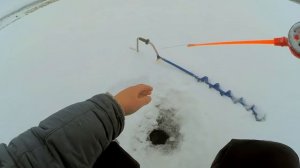 Плотва на безмотылку! Обрывы мормышек на рыбе! Зимняя рыбалка!