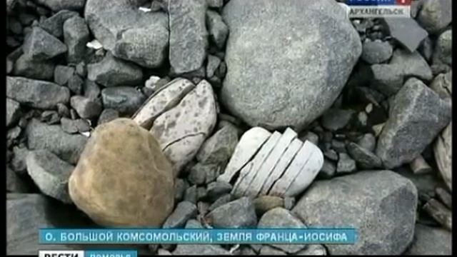 На территории федерального заказника "Земля Франца-Иосифа" обнаружены два новых лежбища моржей смотреть онлайн