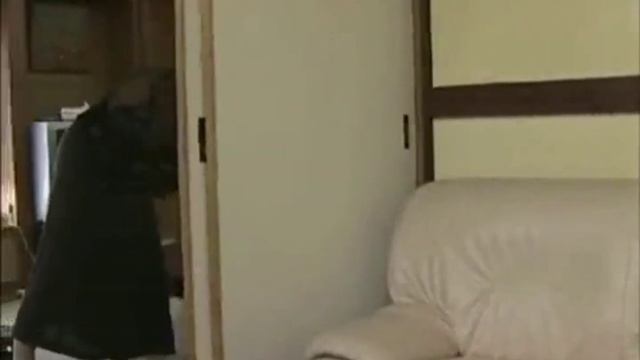 Tidak kuat nahan nafsu‼️Ditinggal suami bekerja,Istri main dengan tetangga смотреть онлайн