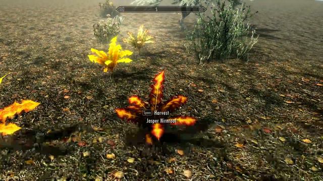 More Colorful Critters 3.0 SSE