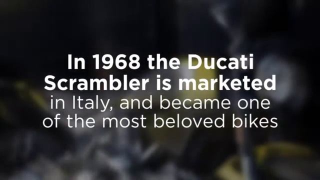 A Ducati Scrambler Profile смотреть онлайн
