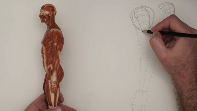 Learning To Draw Solid Arms! | Comics - Manga - Fundamentals - Loomis смотреть онлайн