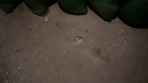 Стяжка пола без протечки