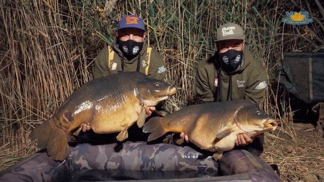 Carp Fishing - The World Carp Classic 2020 (Full Video)
