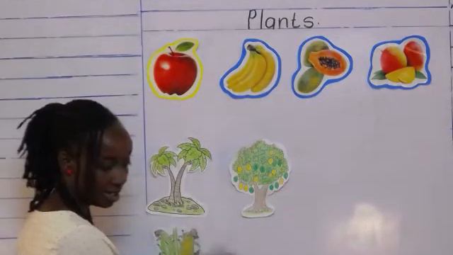 PP1 Class: Environmental Activities - Safe and Harmful plants (Free Preview) смотреть онлайн