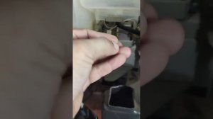 Saeco Phedra │ ?????? ??????