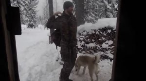 17 Часть . Промысел в тайге 2015! Охота на соболя.