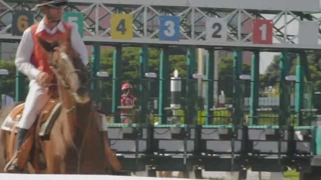 Calder race tracks filmed with Canon 7D смотреть онлайн