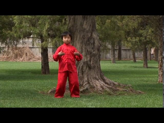 ТАЙЦЗИ - ДЫХАНИЕ ВСЕЛЕННОЙ смотреть онлайн