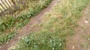 Диагностика бензодатчика на ваз 21074