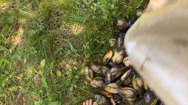 20 Июня Винницкая Область. Мама уехала остался один! смотреть онлайн