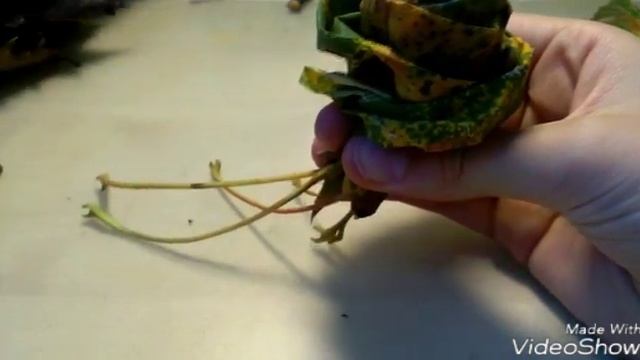 Осенний букет на 1 сентября смотреть онлайн
