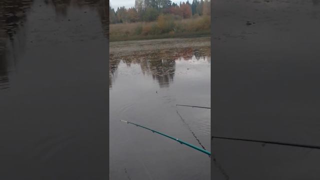 ПЕРВАЯ РЫБАЛКА! смотреть онлайн