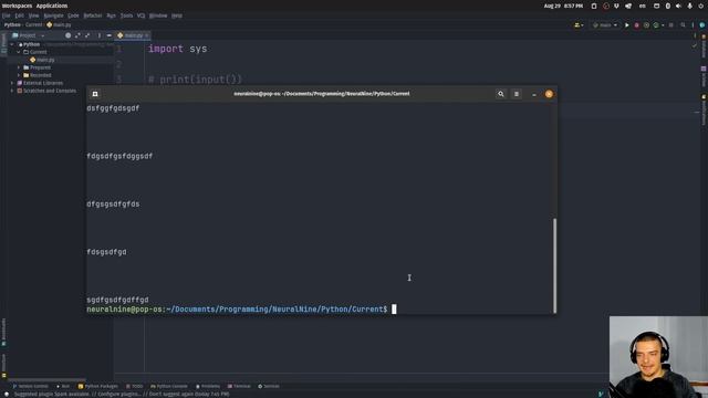 Understanding stdin, stdout, stderr in Python смотреть онлайн