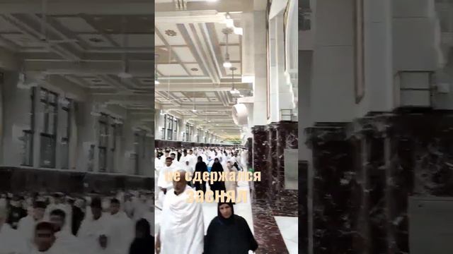 Не сдержался,заснял это зрелище,да примет Аллах от нас и от вас.#каир#мусульманекаира#ислам#islam смотреть онлайн