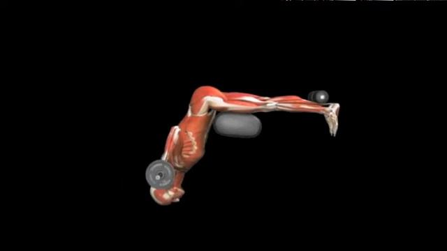 Гиперэкстензия со штангой Hyperextension Barbell смотреть онлайн