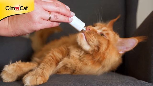 Витаминная паста GimCat Таурин Экстра для кошек смотреть онлайн