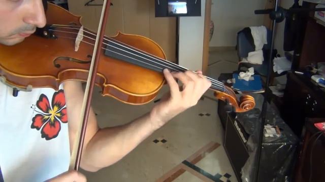 Erza's theme - Fairy Tail - Violin Cover смотреть онлайн