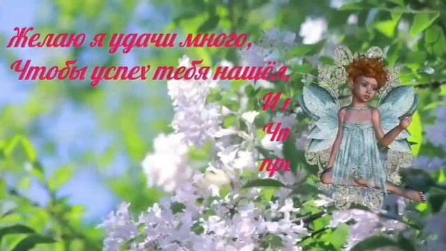 Капелька позитива ! Хорошего денька. 24 февраля 2022 г. смотреть онлайн
