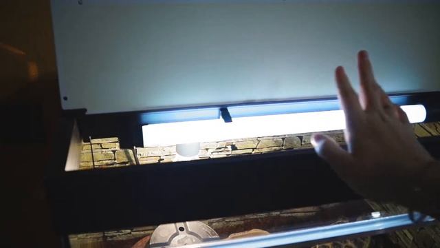 Как правильно обустроить террариум для сухопутной черепахи