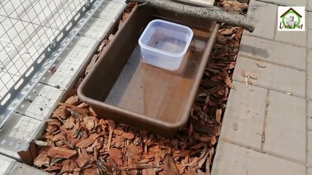 Экскурсия по вольеру для попугая смотреть онлайн