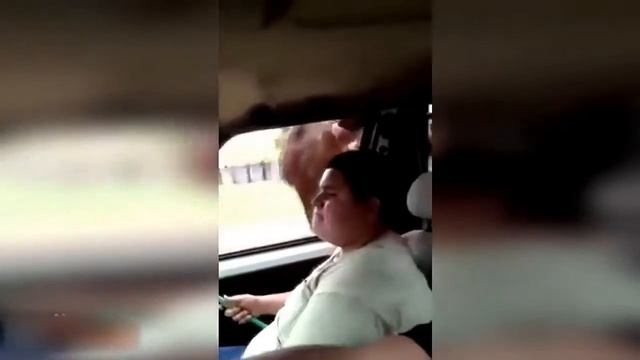 Мгновенная карма. Борзое быдло получает по заслугам