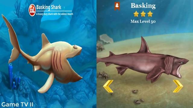 Hungry Shark World VS Shark World смотреть онлайн