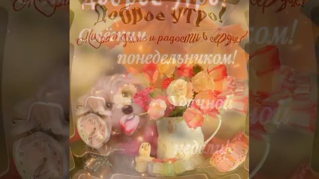 с добрым утром, ☕🤗 смотреть онлайн