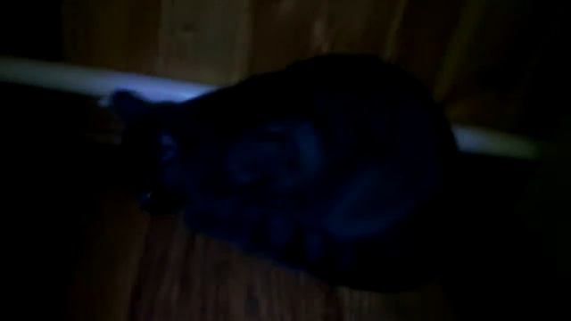 Братья встретились спустя 6 месяцев смотреть онлайн