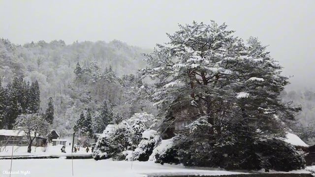 La mejor música clásica, música que calienta los corazones del invierno - Mozart, Beethoven, Chopin смотреть онлайн
